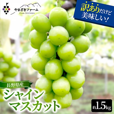 【訳あり】シャインマスカット 約1.5kg(4～6房)家庭用