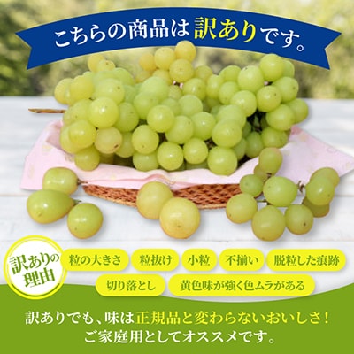 【訳あり】シャインマスカット 約1.5kg(4～6房)家庭用