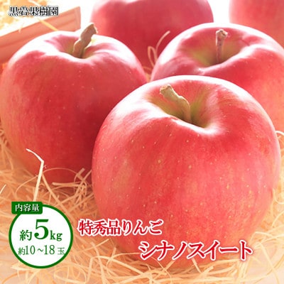 【2025年発送】シナノスイート 特秀品 約5kg (約10～18玉)《黒岩果樹園》