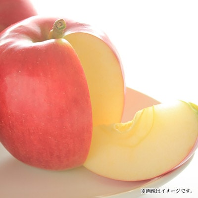 【2025年発送】シナノスイート 特秀品 約5kg (約10～18玉)《黒岩果樹園》