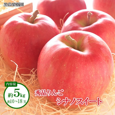 【2025年発送】シナノスイート 秀品 約5kg (約10～18玉)《黒岩果樹園》