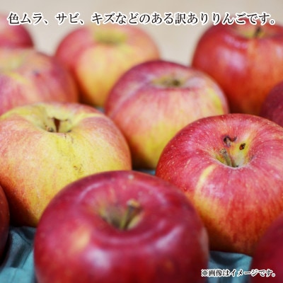 【2025年発送】シナノスイート 訳あり 約3kg (約6～12玉) 《黒岩果樹園》