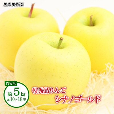 【2025年発送】シナノゴールド 特秀品 約5kg (約10～18玉) 《黒岩果樹園》