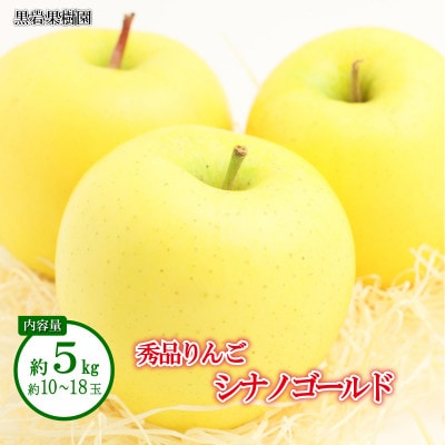 【2025年発送】シナノゴールド 秀品 約5kg (約10～18玉)《黒岩果樹園》