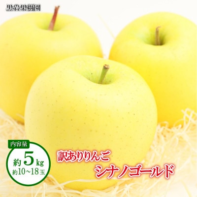 【2025年発送】シナノゴールド 訳あり 約5kg (約10～18玉) 《黒岩果樹園》