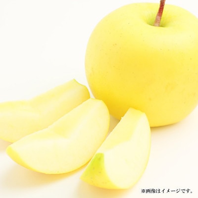 【2025年発送】シナノゴールド 訳あり 約5kg (約10～18玉) 《黒岩果樹園》