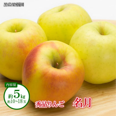 【2025年発送】名月 秀品 約5kg (約10～18玉) 《黒岩果樹園》