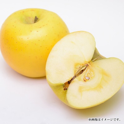 【2025年発送】名月 秀品 約5kg (約10～18玉) 《黒岩果樹園》