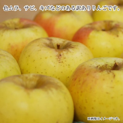 【2025年発送】名月 訳あり 約5kg (約10～18玉) 《黒岩果樹園》