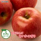 【2025年発送】あいかの香り 特秀品 約5kg (約10～18玉) 《黒岩果樹園》