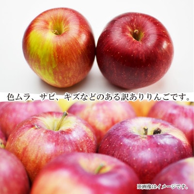 【2025年発送】あいかの香り 訳あり 約3kg (約5～12玉) 《黒岩果樹園》