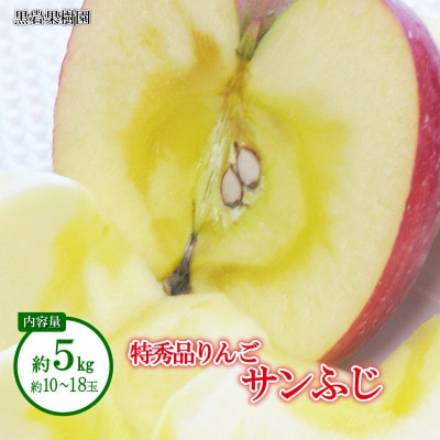 【2025年発送】サンふじ 特秀品 約5kg (約10～18玉) 《黒岩果樹園》