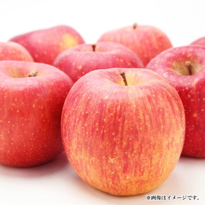 【2025年発送】サンふじ 特秀品 約5kg (約10～18玉) 《黒岩果樹園》