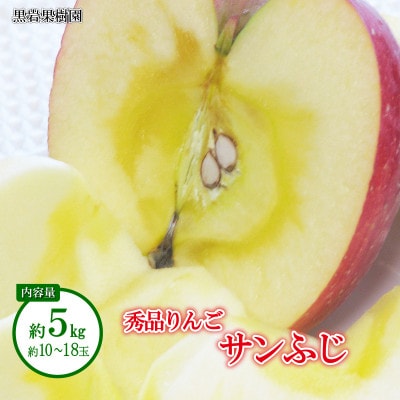 【2025年発送】サンふじ 秀品 約5kg (約10～18玉) 《黒岩果樹園》