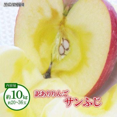 【2025年発送】サンふじ 訳あり 約10kg (約20～36玉)