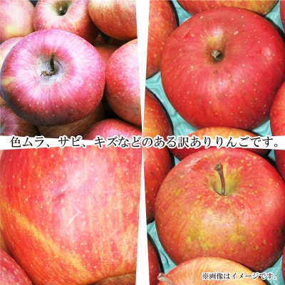 【2025年発送】サンふじ 訳あり 約10kg (約20～36玉)