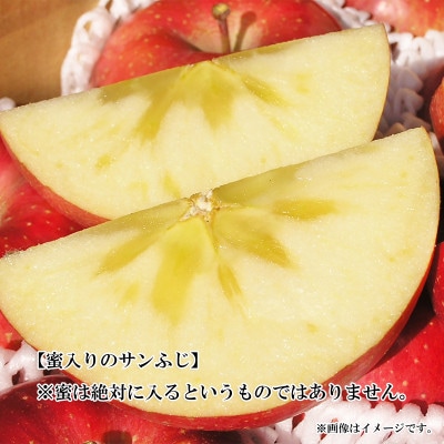 【2025年発送】サンふじ 訳あり 約10kg (約20～36玉)