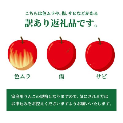 【2025年発送】シナノホッペ 訳あり 約3kg (約6～12玉) 《黒岩果樹園》