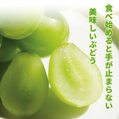 【2026年発送】シャインマスカット 約900g(約1～3房)《黒岩果樹園》