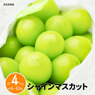 【2026年発送】シャインマスカット 約4kg(約6～10房) 《黒岩果樹園》