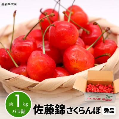 【2026年発送】佐藤錦 さくらんぼ 秀品 約1kg (バラ詰) 《黒岩果樹園》