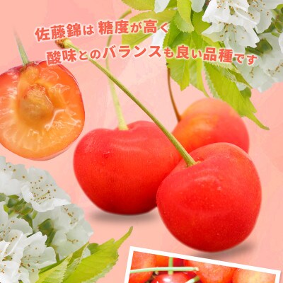 【2026年発送】佐藤錦 さくらんぼ 秀品 約1kg (バラ詰) 《黒岩果樹園》