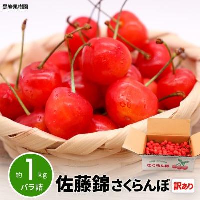 【2026年発送】佐藤錦 さくらんぼ 訳あり 約1kg (バラ詰)  《黒岩果樹園》