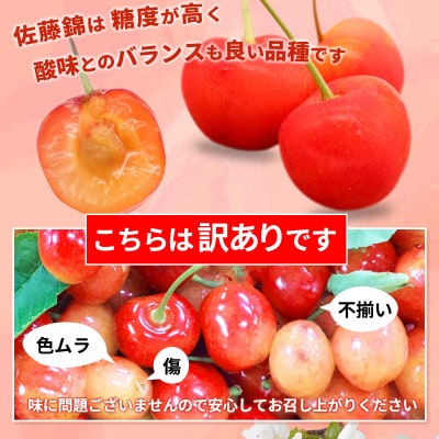 【2026年発送】佐藤錦 さくらんぼ 訳あり 約1kg (バラ詰)  《黒岩果樹園》