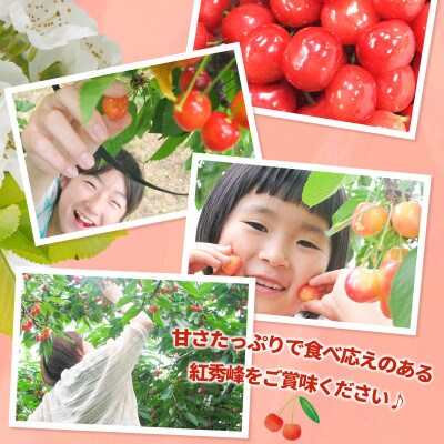 【2026年発送】紅秀峰 さくらんぼ 秀品 約1kg (バラ詰) 《黒岩果樹園》