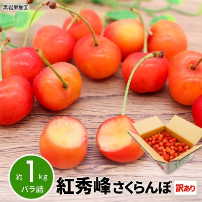 【2026年発送】紅秀峰 さくらんぼ 訳あり 約1kg (バラ詰) 《黒岩果樹園》