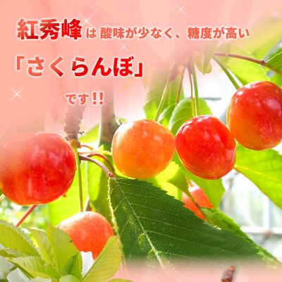 【2026年発送】紅秀峰 さくらんぼ 訳あり 約1kg (バラ詰) 《黒岩果樹園》