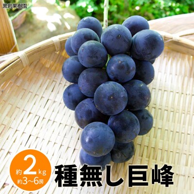 【2026年発送】種無し巨峰 約2kg (約3～6房)《黒岩果樹園》