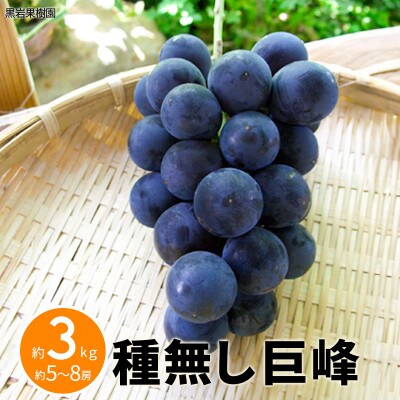 【2026年発送】種無し巨峰 約3kg (約5～8房)《黒岩果樹園》