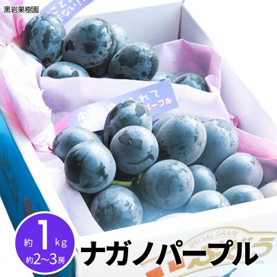 【2026年発送】ナガノパープル 約1kg (約2～3房)《黒岩果樹園》