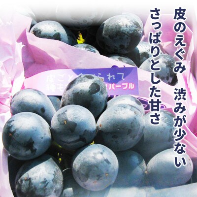 【2026年発送】ナガノパープル 約1kg (約2～3房)《黒岩果樹園》
