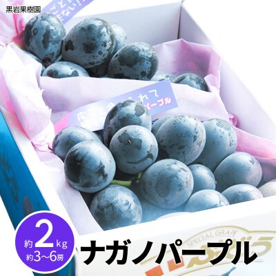 【2026年発送】ナガノパープル 約2kg (約3～6房) 《黒岩果樹園》