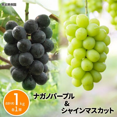 【2026年発送】ナガノパープル&シャインマスカット 合計約1kg (各1房)《黒岩果樹園》