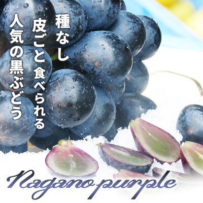 【2026年発送】ナガノパープル&シャインマスカット 合計約1kg (各1房)《黒岩果樹園》