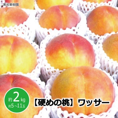 【2026年発送】硬めの桃 信州須坂の桃 ワッサー 特秀品 約2kg(約5～11玉)《黒岩果樹園》