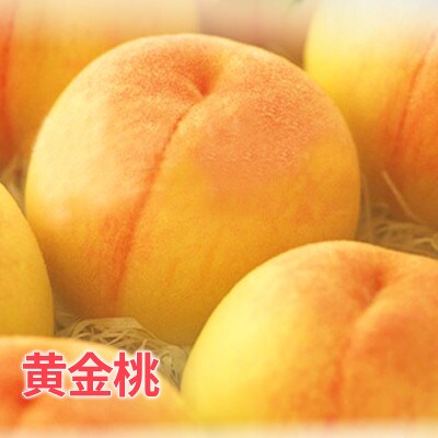 【2026年発送】信州須坂 旬の桃 秀選  約3kg (約6～12玉) 《黒岩果樹園》