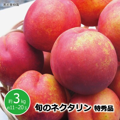【2026年発送】信州須坂の桃 旬のネクタリン 特秀品 約3kg (約11～20玉)《黒岩果樹園》