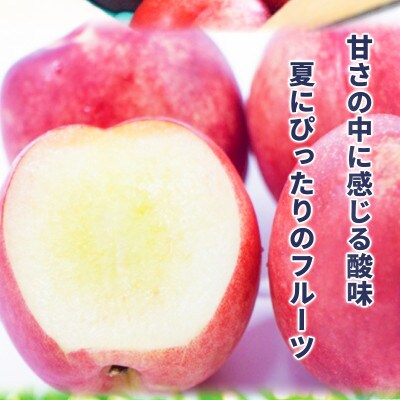 【2026年発送】信州須坂の桃 旬のネクタリン 特秀品 約3kg (約11～20玉)《黒岩果樹園》