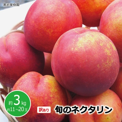 【2026年発送】訳あり 信州須坂の桃 旬のネクタリン 約3kg (約11～20玉) 《黒岩果樹園》