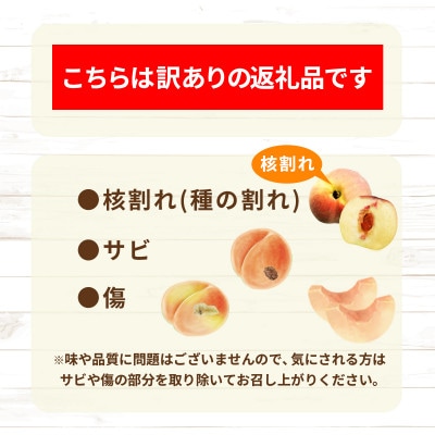 【2026年発送】訳あり 信州須坂の桃 旬のネクタリン 約3kg (約11～20玉) 《黒岩果樹園》