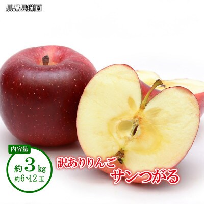 【2026年発送】サンつがる 訳ありりんご 約3kg (約6～12玉)《黒岩果樹園》