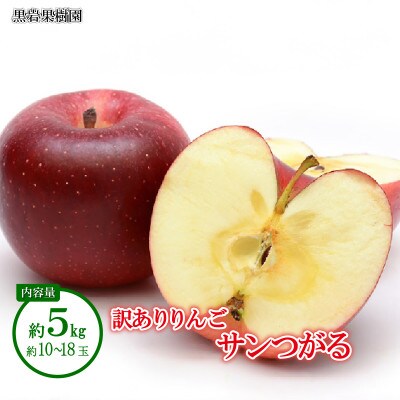 【2026年発送】サンつがる 訳ありりんご 約5kg (約10～18玉)《黒岩果樹園》