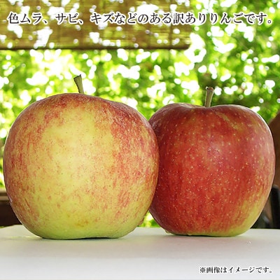 【2026年発送】サンつがる 訳ありりんご 約5kg (約10～18玉)《黒岩果樹園》
