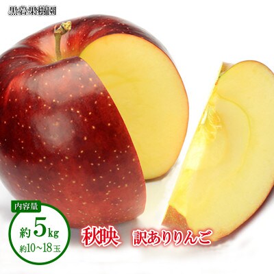 【2026年発送】秋映 訳あり 約5kg (約10～18玉)《黒岩果樹園》