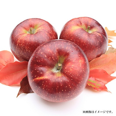 【2026年発送】秋映 秀品 約5kg (約10～18玉)《黒岩果樹園》