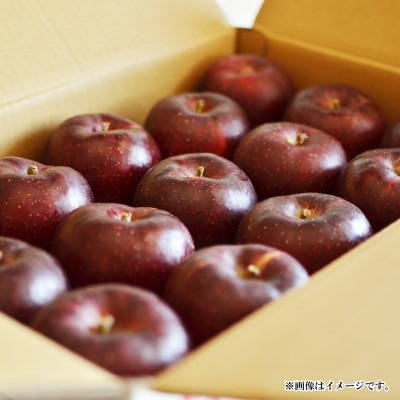 【2026年発送】秋映 特秀品 約5kg (約10～18玉)《黒岩果樹園》